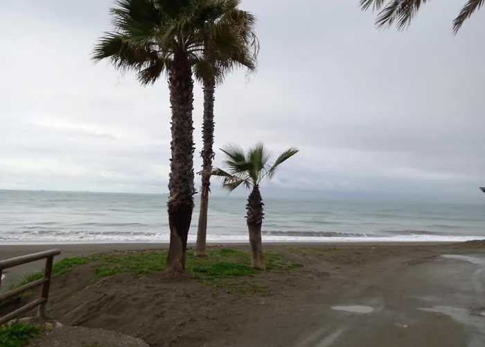 Moci 3 Rincón de la Victoria